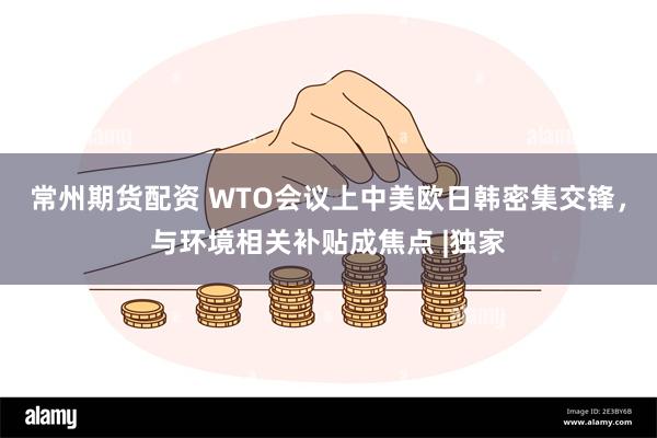 常州期货配资 WTO会议上中美欧日韩密集交锋，与环境相关补贴成焦点 |独家