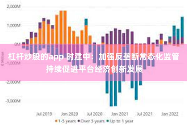 杠杆炒股的app 时建中：加强反垄断常态化监管 持续促进平台经济创新发展