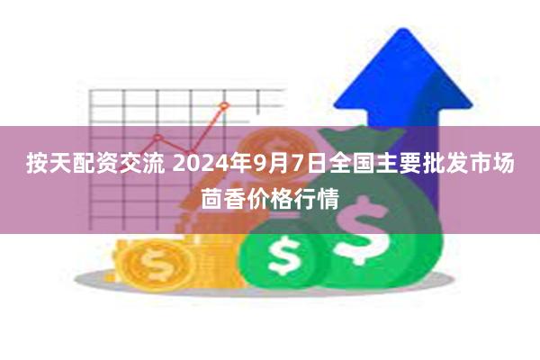 按天配资交流 2024年9月7日全国主要批发市场茴香价格行情