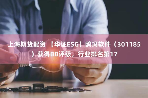 上海期货配资 【华证ESG】鸥玛软件（301185）获得BB评级，行业排名第17