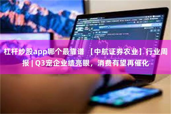 杠杆炒股app哪个最靠谱 【中航证券农业】行业周报 | Q3宠企业绩亮眼，消费有望再催化