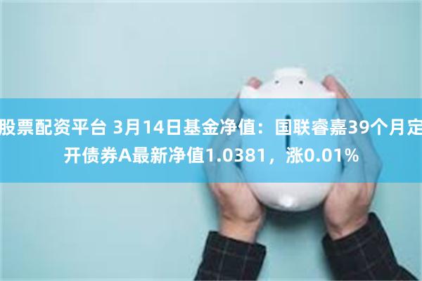 股票配资平台 3月14日基金净值：国联睿嘉39个月定开债券A最新净值1.0381，涨0.01%